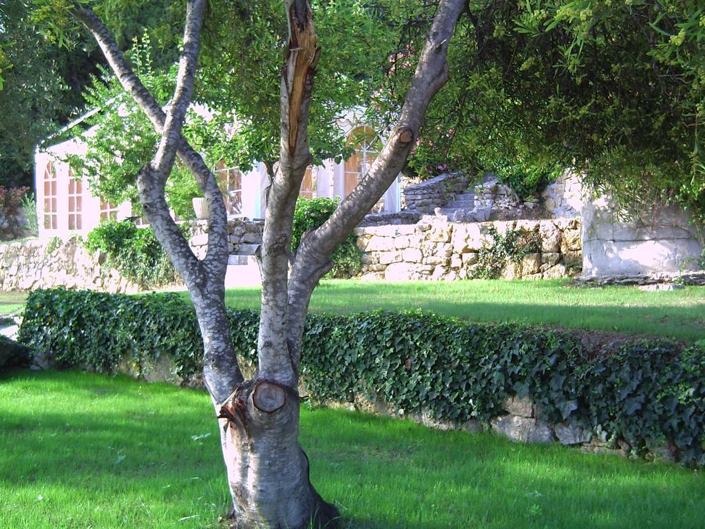 Villa Domaine Du Mont Leuze Villefranche-sur-Mer Esterno foto